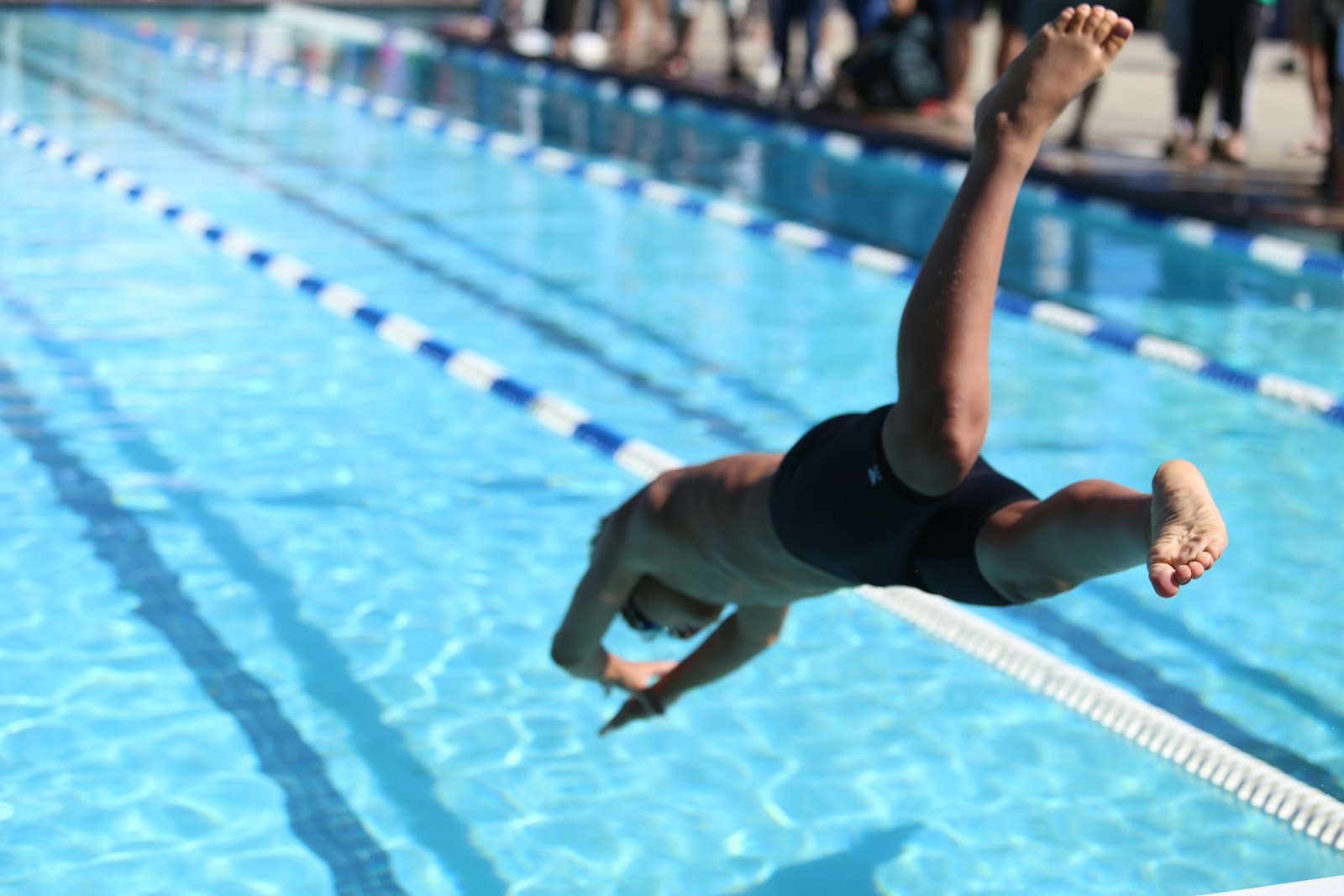 Plongeon